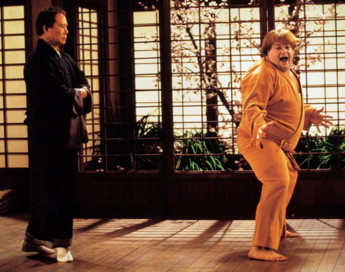 Beverly Hills Ninja MPCA